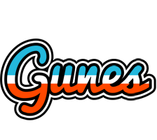 Gunes america logo