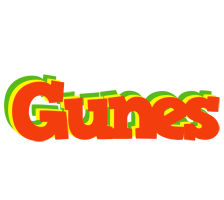 Gunes bbq logo