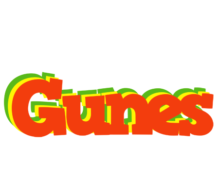 Gunes bbq logo