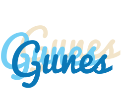 Gunes breeze logo