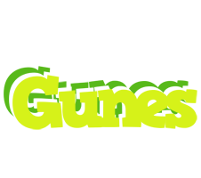 Gunes citrus logo