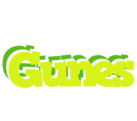 Gunes citrus logo