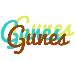 Gunes cupcake logo