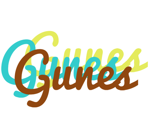Gunes cupcake logo