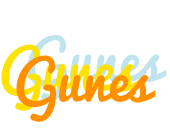 Gunes energy logo