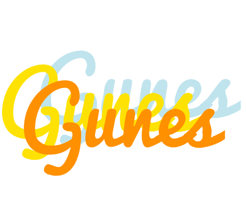 Gunes energy logo