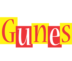 Gunes errors logo