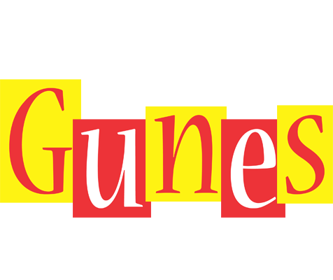 Gunes errors logo