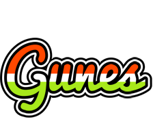 Gunes exotic logo