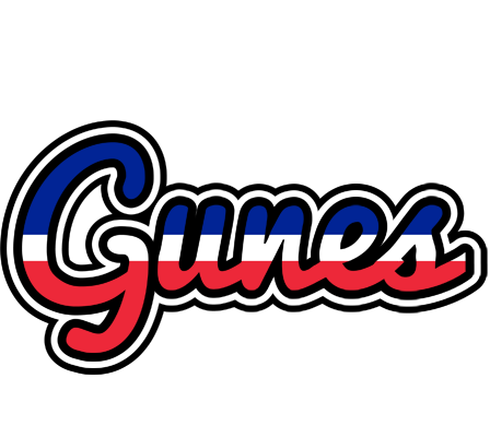 Gunes france logo