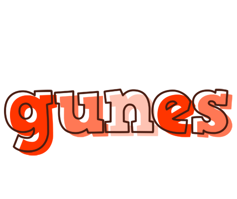 Gunes paint logo