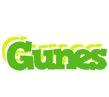 Gunes picnic logo