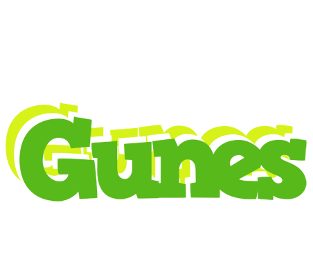 Gunes picnic logo