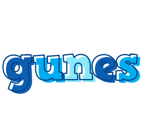 Gunes sailor logo