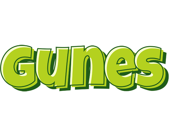 Gunes summer logo