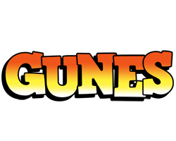 Gunes sunset logo