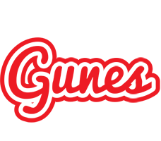 Gunes sunshine logo