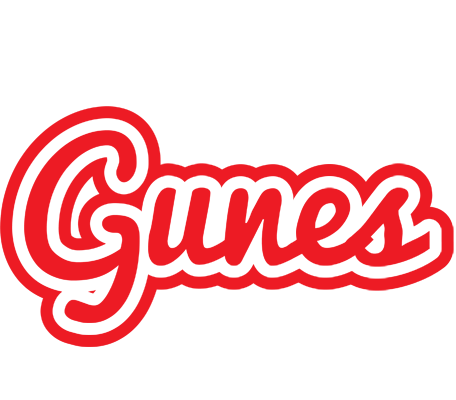 Gunes sunshine logo