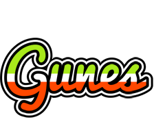 Gunes superfun logo