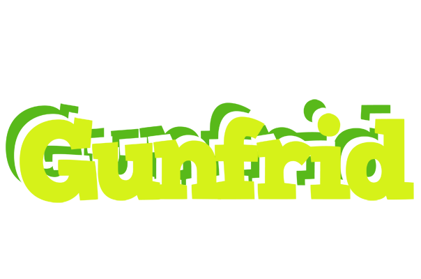 Gunfrid citrus logo