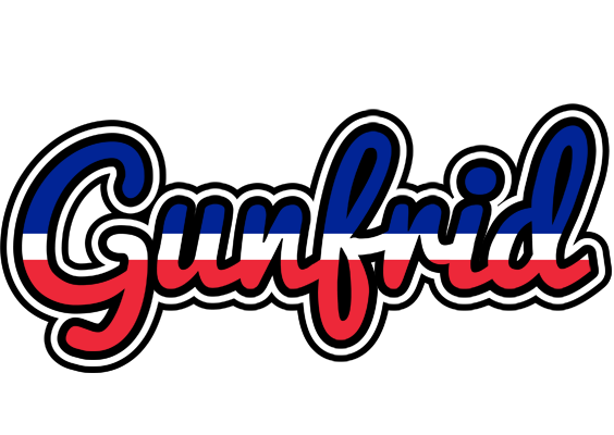 Gunfrid france logo