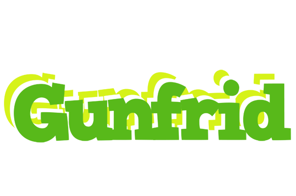 Gunfrid picnic logo