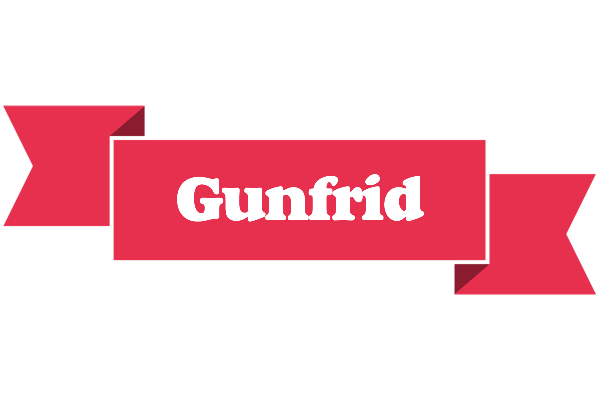 Gunfrid sale logo