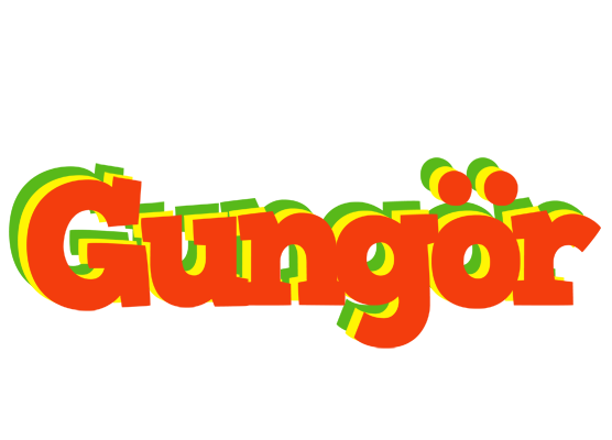 Gungör bbq logo