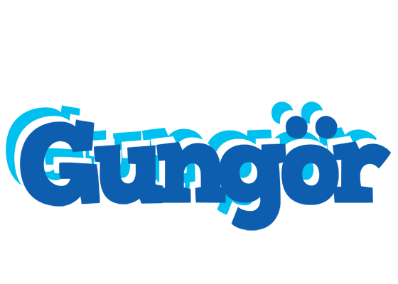 Gungör business logo