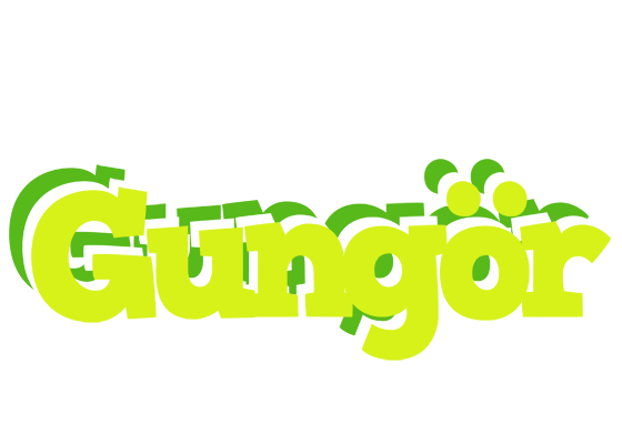 Gungör citrus logo
