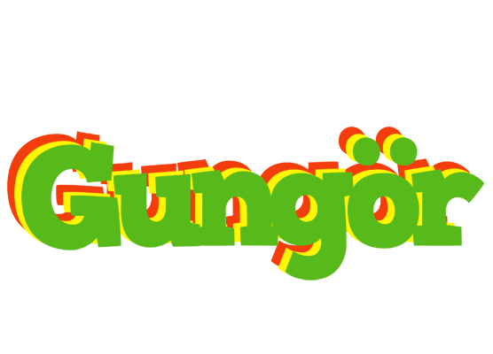Gungör crocodile logo
