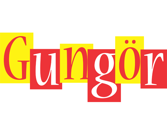 Gungör errors logo