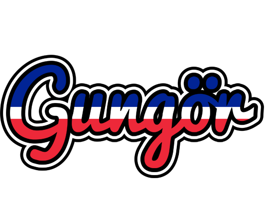 Gungör france logo