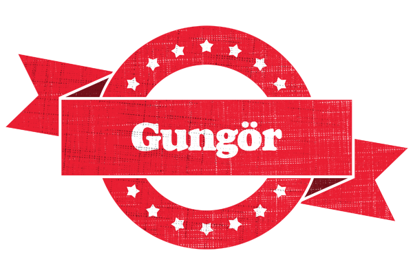 Gungör passion logo