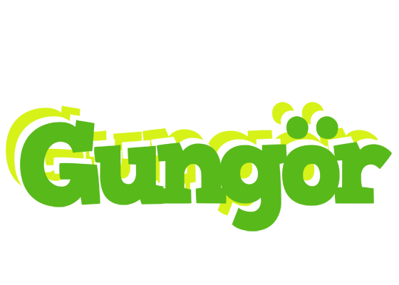 Gungör picnic logo