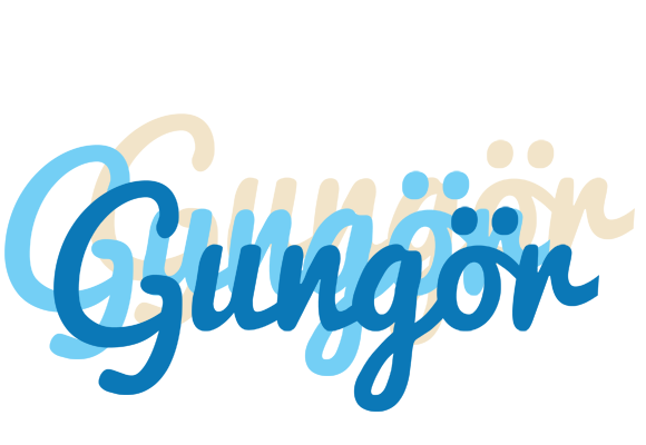 Gungör breeze logo