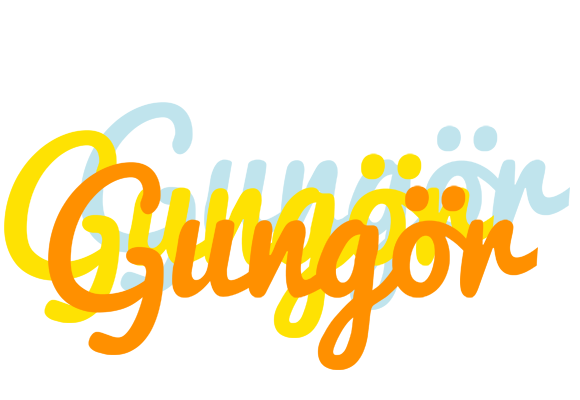 Gungör energy logo