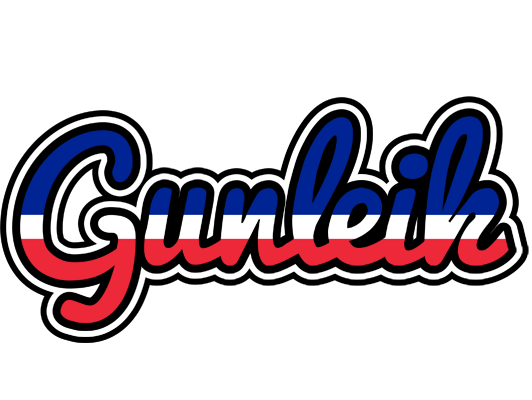 Gunleik france logo