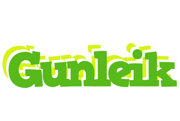 Gunleik picnic logo