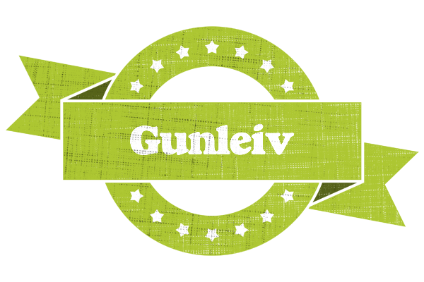 Gunleiv change logo