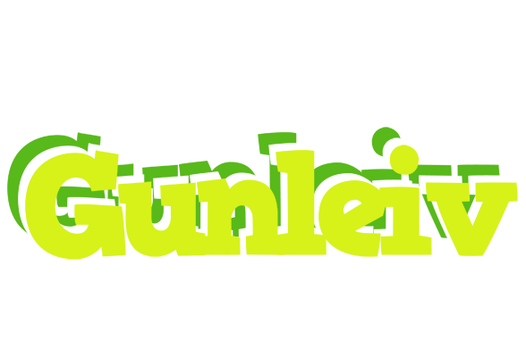 Gunleiv citrus logo