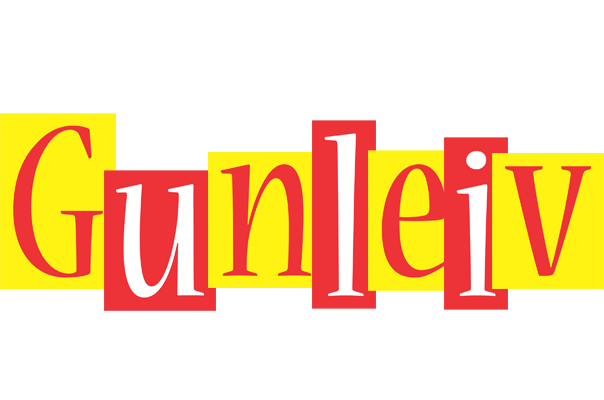 Gunleiv errors logo
