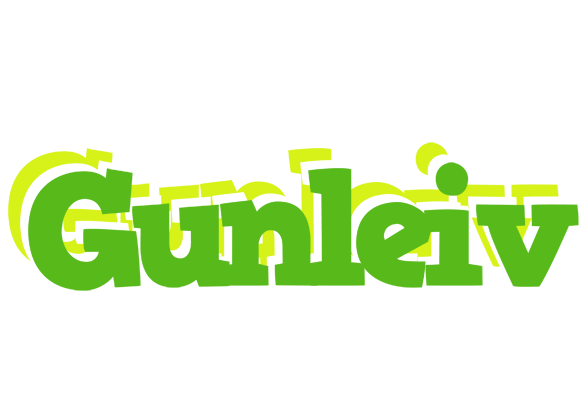 Gunleiv picnic logo