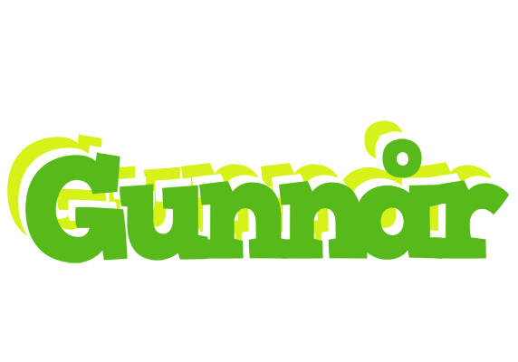 Gunnår picnic logo