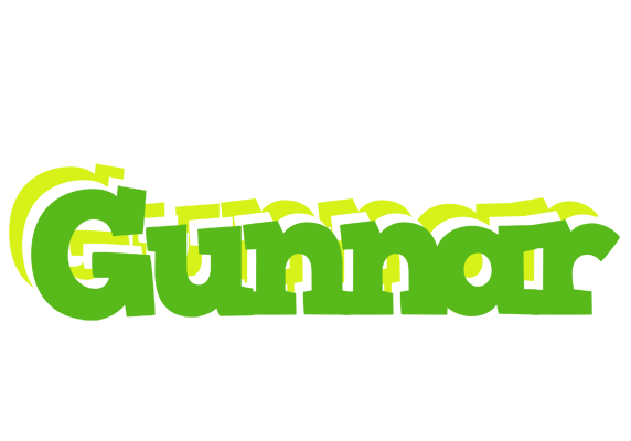Gunnar picnic logo