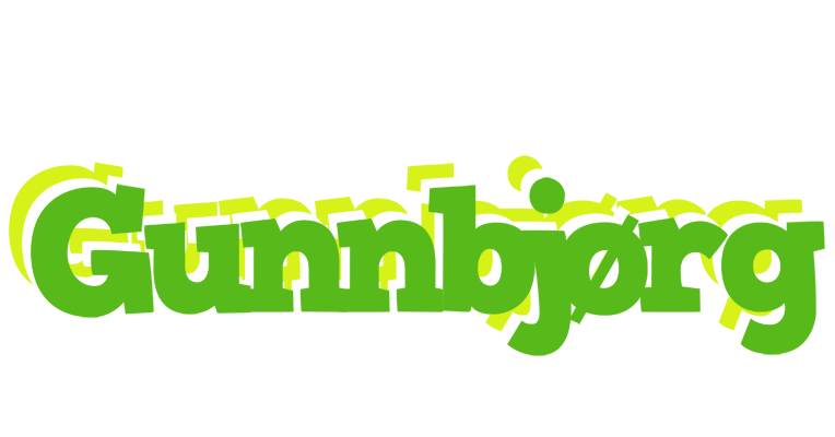 Gunnbjørg picnic logo