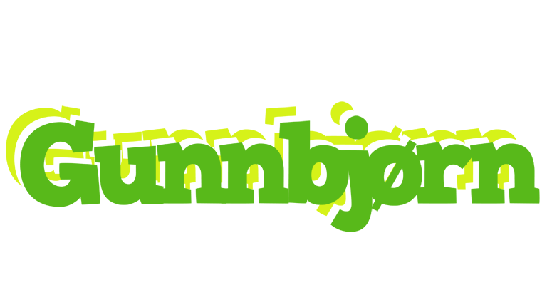 Gunnbjørn picnic logo