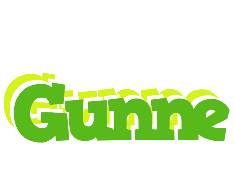 Gunne picnic logo