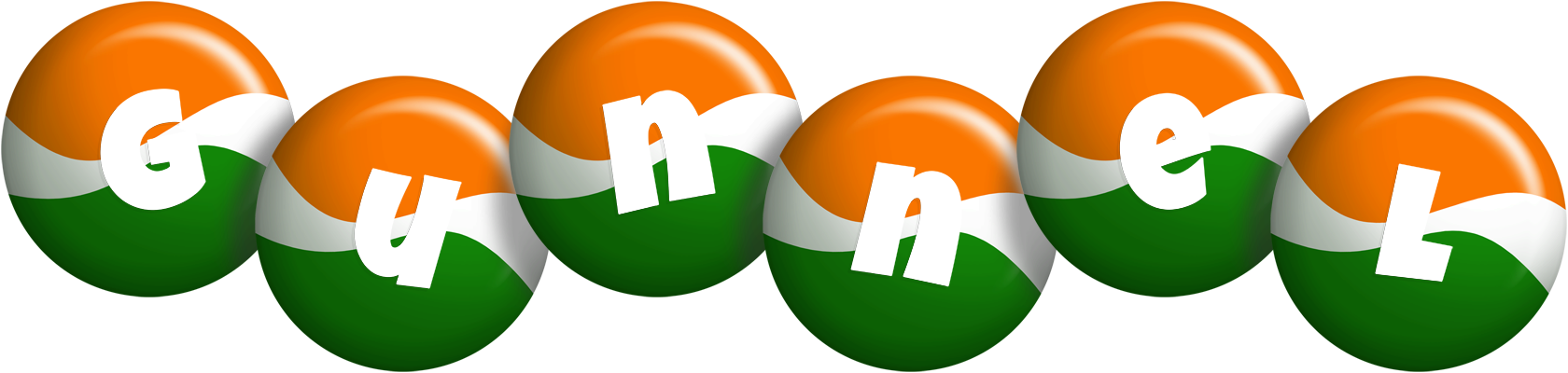 Gunnel india logo