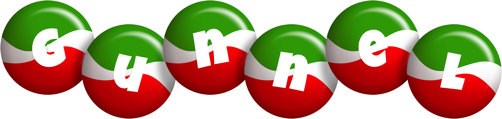 Gunnel italy logo
